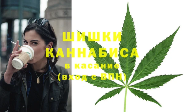 PSILOCYBIN Медногорск