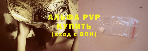 СК Медвежьегорск