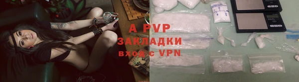 СК Медвежьегорск