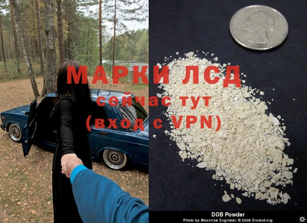 СК Медвежьегорск