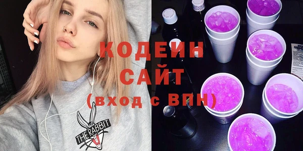 СК Медвежьегорск