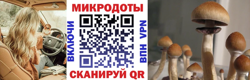 Галлюциногенные грибы GOLDEN TEACHER  наркота  Нариманов 