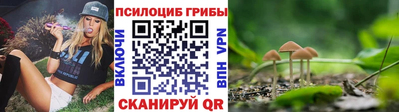 Псилоцибиновые грибы прущие грибы Нариманов